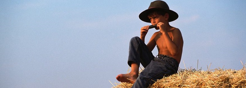 Детские губные гармошки