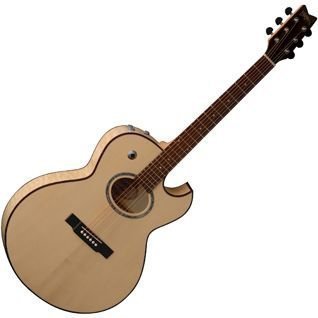 Електроакустична гітара Washburn EA20 SDL