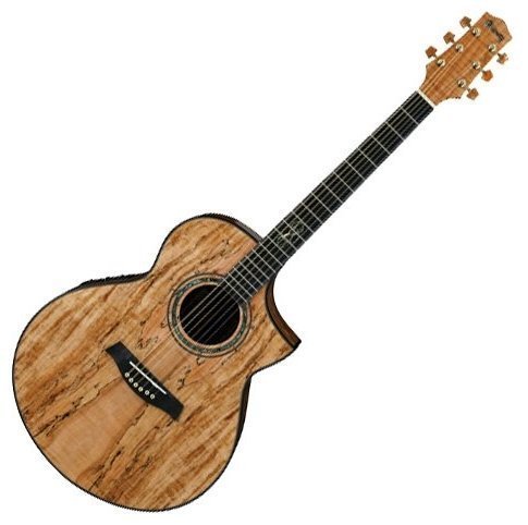Електроакустична гітара Ibanez EW50SME NT