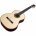 Класична гітара Cordoba C10 SP W/C