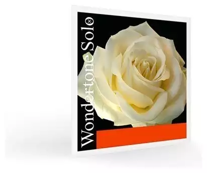 Струны для скрипки Pirastro 312221 Струны для скрипки Pirastro 312221