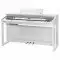 Kurzweil CUP P1 WH