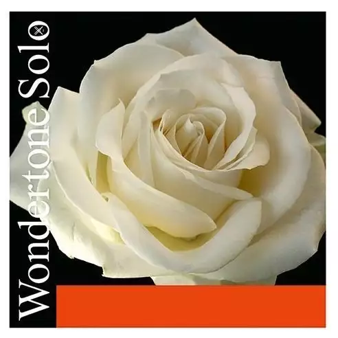 Струни для скрипки Pirastro Wondertone Solo 4/4 Струни для скрипки Pirastro Wondertone Solo 4/4