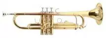 Roy Benson TR-101