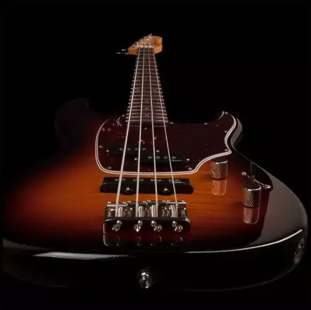 Бас-гитара  - Фото №122785