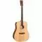 Cort Earth 60 (Natural Gloss)