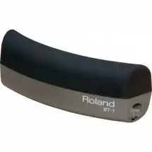 Roland BT1