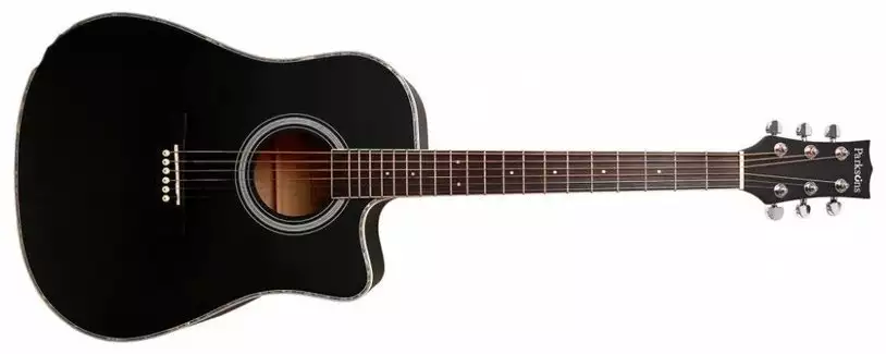 Акустическая гитара Parksons JB4111C Black