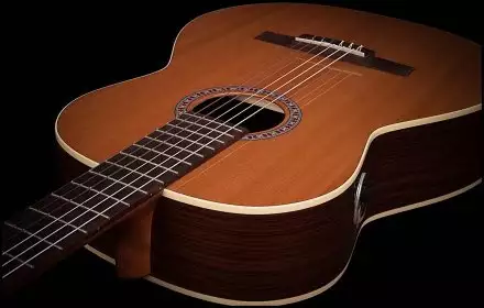Классическая гитара со звукоснимателем  - Фото №122904