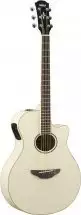 Yamaha APX600 VW