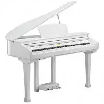 Kurzweil KAG-100 WHP