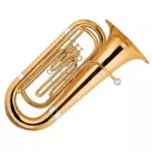  Maxtone TTC53L1 (TTC99L)