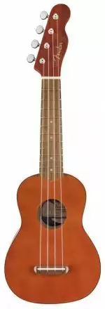 Укулеле  - Фото №110460