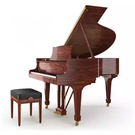 Акустический рояль  - Фото №156093
