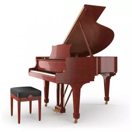 Акустический рояль  - Фото №156096