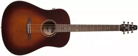 Электроакустическая гитара  - Фото №122998