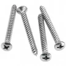 Fender NECK MOUNTING SCREWS (4)