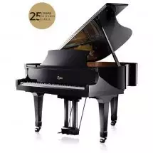 Boston GP-178 25th Anniversary Limited Edition