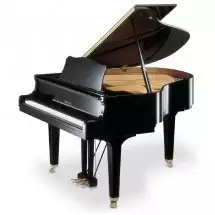 Yamaha GC1 PE