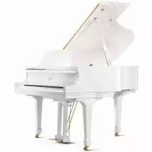 Essex EGP-155C