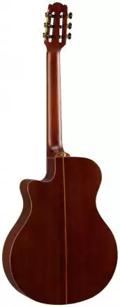 Класична гітара зі звукознімачем  - Фото №139263