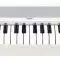 Korg B2-WH