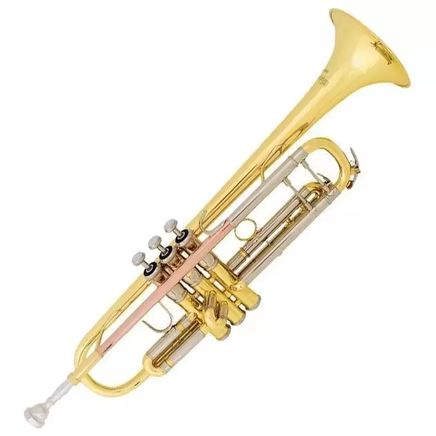 Труба Bach TR500
