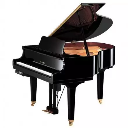 Акустический рояль  - Фото №30462