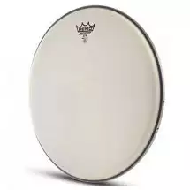 Remo Ambassador X 14