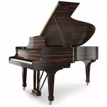 Акустичний рояль  - Фото №156432