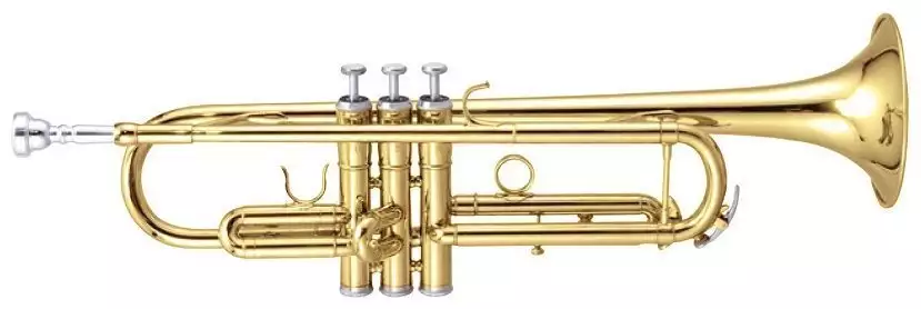 Музична труба Maxtone TTC-60 /L-2