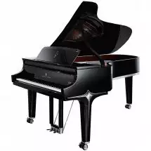 Steinway &amp; Sons BLACK DIAMOND