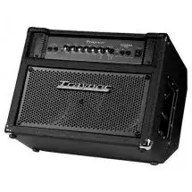 Traynor DB300T