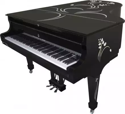 Акустический рояль  - Фото №156550