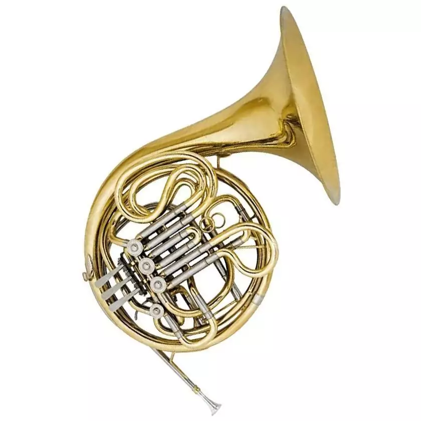 Валторна Maxtone THC53D 4LD (TMC704BD) Валторна Maxtone THC53D 4LD (TMC704BD)
