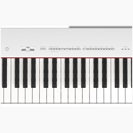 Сценическое пианино Yamaha P-225 (White) - Фото №153268