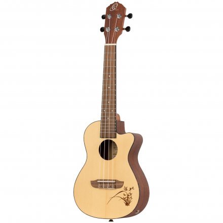 Укулеле  - Фото №179893