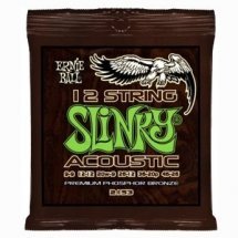 Ernie Ball P02153 12-String Slinky®