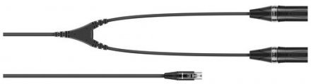 Sennheiser CA 6042 XLR - Mini XLR / 2 x XLR cabel (Y adapter cable) - Фото №131342