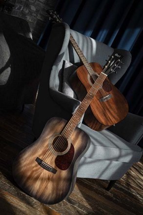 Акустическая гитара  - Фото №140541