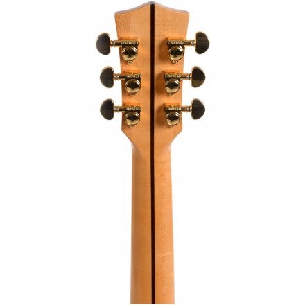 Електроакустична гітара  - Фото №169225