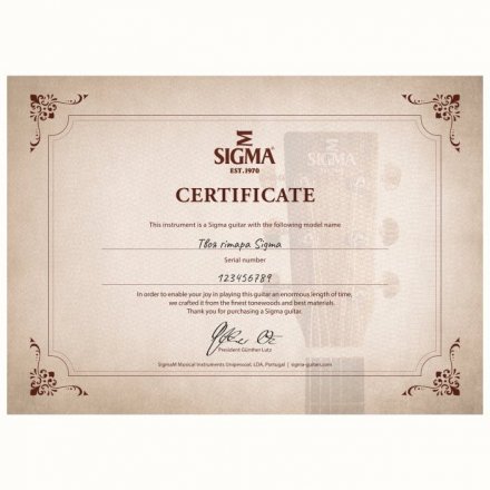 Електроакустична гітара  - Фото №169226