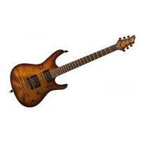 Электрогитара  - Фото №6654