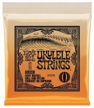  Ernie Ball P02329