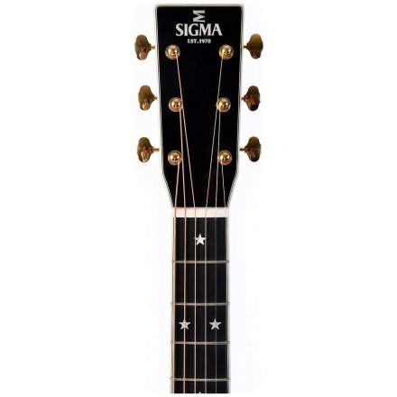 Электроакустическая гитара  - Фото №169256