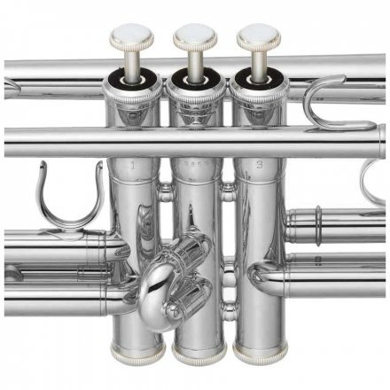 Музична труба  - Фото №50332