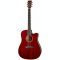 Tanglewood TW5 CE R