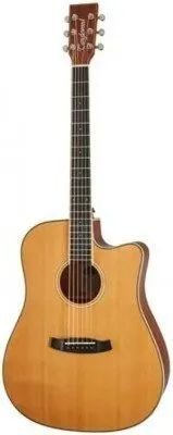 Електроакустична гітара  - Фото №180775