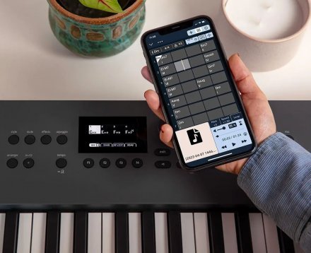 Синтезатор  - Фото №162480