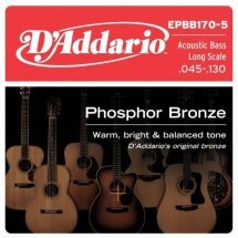  D'Addario EPBB170-5 Acoustic Bass Phosphor Bronze 5 String
